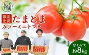 【限定出荷】"たまとま"＋カラーミニトマト(約8kg)《 野菜 トマト ミニトマト カラートマト 期間限定 送料無料 おすすめ 美味しい セット とまと ふるさと納税 》【2403C12102】