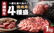 大浦和牛焼肉セット(1kg)《 牛肉 牛 国産 焼肉 セット おすすめ ロース 美味しい 牛タン ハラミ ヘレ フィレ ヒレ ヒレ肉 食べ比べ バーベキュー 》【2405A00206】