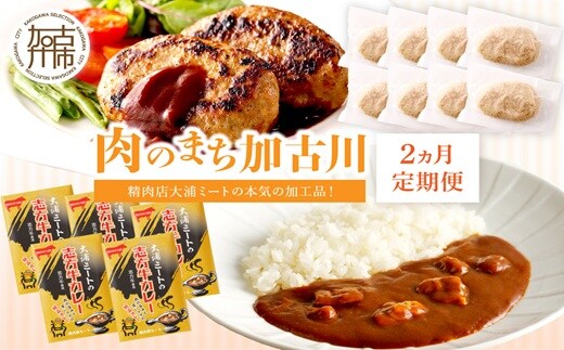 「肉のまち加古川」精肉店大浦ミートの本気の加工品！《 ハンバーグ カレー 定期便 惣菜 簡単調理 手軽 おかず 》【002019I000】
