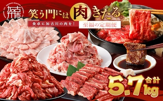 「笑う門には肉きたる」食卓に加古川の肉を！至福の定期便《 お肉 牛肉 豚肉 定期便 志方牛 カルビ ローストビーフ ポーク バーベキュー しゃぶしゃぶ すき焼き 》【2507A00202】