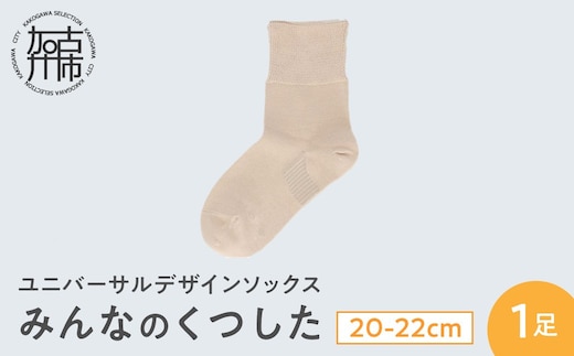 みんなのくつした 1足(20-22cm)【メイプルベージュ】《 くつした 靴下 ソックス 加古川市 送料無料 》【2500T16801_01】