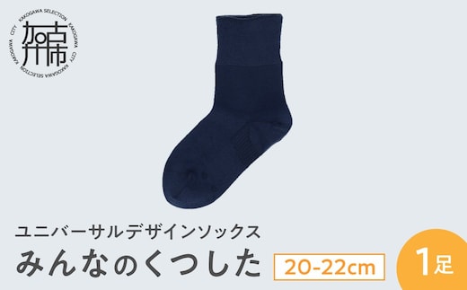 みんなのくつした 1足(20-22cm)【コン】《 くつした 靴下 ソックス 加古川市 送料無料 》【2500T16801_02】
