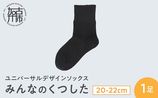 みんなのくつした 1足(20-22cm)【クロ】《 くつした 靴下 ソックス 加古川市 送料無料 》【2500T16801_04】