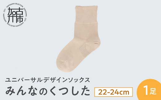 みんなのくつした 1足(22-24cm)【メイプルベージュ】《 くつした 靴下 ソックス 加古川市 送料無料 》【2500T16802_01】