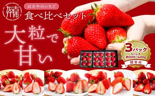 贈答用いちご 3品種食べ比べセット(3パック入)《 いちご 苺 イチゴ フルーツ 果物 国産 フルーツ工房はたや あまえくぼ 章姫 あまクイーン ロイヤルクイーン ぽりっちご あまおとめ 堅しろう 》【2502C09701】