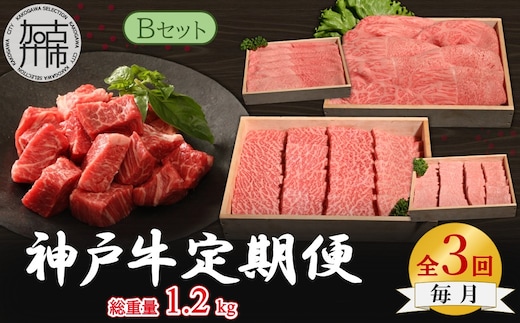 神戸牛定期便 B 【全3回】《 肉 牛肉 神戸牛 スライス肉 ももかた すき焼き 焼肉 ステーキ 計1.2kg 定期便 冷凍 》【2505A16918】
