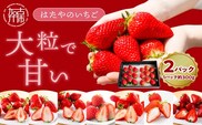 はたやのいちご 2Pセット《 いちご 苺 イチゴ フルーツ 果物 国産 フルーツ工房はたや あまえくぼ 章姫 あまクイーン ロイヤルクイーン ぽりっちご あまおとめ 堅しろう 》【2501C09702】