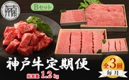 神戸牛定期便 B 【全3回】《 肉 牛肉 神戸牛 スライス肉 ももかた すき焼き 焼肉 ステーキ 計1.2kg 定期便 冷凍 》【2505A16918】