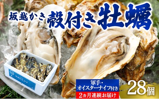 dショッピングふるさと納税百選 | 『魚貝類』で絞り込んだ飯塚市