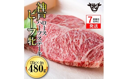 【神戸牛 牝】【7営業日以内発送】冷凍 ロースハーフステーキ120g×４枚 川岸畜産 (44-9)