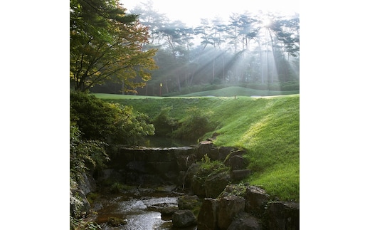 60-6 【パインレークゴルフクラブ】平日1ラウンド《ペア》セルフプレー券（昼食補助券+1ドリンク） 