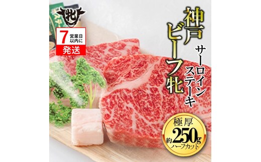 期間限定品【神戸牛 牝】【7営業日以内発送】冷凍 極厚サーロインステーキ ハーフカット:2枚 約250g 川岸畜産 （20-31）