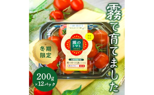 11月末～12月発送予約【霧で育てた濃厚な味】霧のトマト 200ｇ×12パック