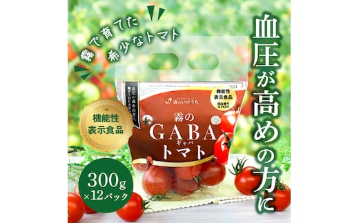 【血圧が気になるあなたに！機能性表示食品】 霧のGABAトマト 300ｇ×12パック 兵庫県 西脇市 霧のいけうち トマト 野菜 青果 希少 GABA 甘い 甘味 酸味
