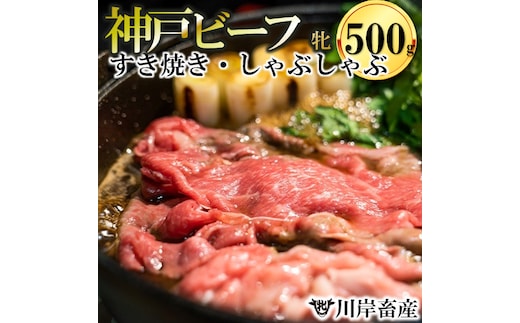 神戸牛 牝 特上 すき焼きしゃぶしゃぶ おまかせセット（500g）【冷蔵】神戸ビーフ