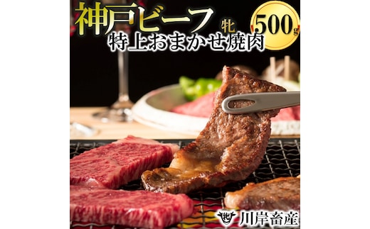 神戸牛 牝 特上 焼肉 おまかせセット（500g）【冷蔵】神戸ビーフ