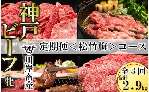 【神戸牛/神戸ビーフ 定期便】神戸ビーフを味わい尽くす〈松竹梅〉定期便コース（合計2,900g） 