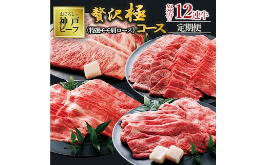 【神戸牛・年間定期便】黒田庄和牛特選モモ・肩ロース贅沢極コース＜冷蔵＞（焼肉・すき焼き・しゃぶしゃぶ・ステーキから選べます！）