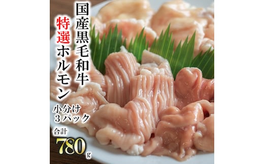 【国産黒毛和牛】特選ホルモン780ℊ 260g×3パック 小分け