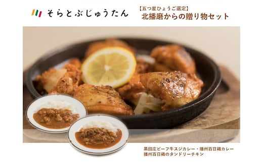 【五つ星ひょうご選定】北播磨からの贈り物セット（カレー＆タンドリーチキン） 