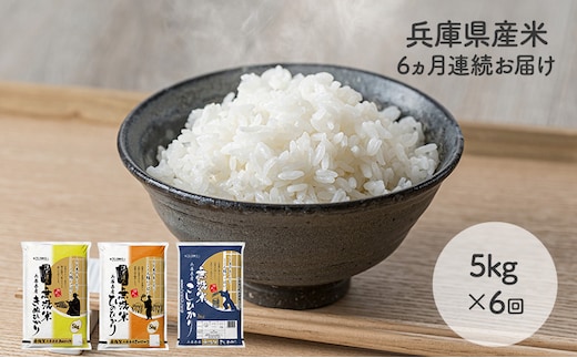 【6ヵ月連続お届け】精米人一押し！兵庫県産無洗米5kg×1袋 食べ比べ 定期便 お米 コシヒカリ ヒノヒカリ キヌヒカリ ６ヶ月 ６回 