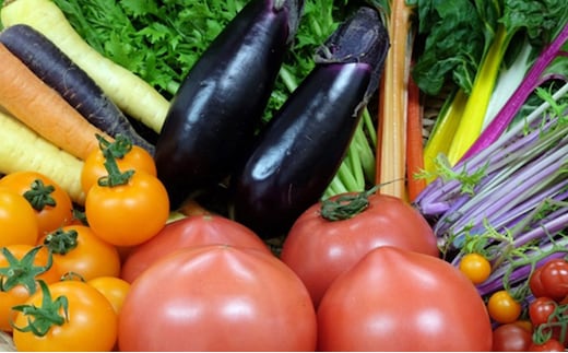 はっぱやの旬野菜おまかせセット 野菜類 詰合せ 