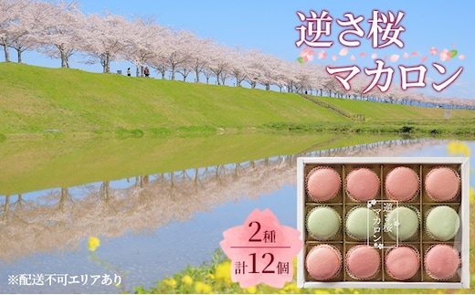 逆さ桜 マカロン 2種 食べ比べ 計12個[ スイーツ 洋菓子 焼菓子 ] お菓子 おやつ ティータイム さくらのマカロン さくら味 さくらの葉塩漬け味 贈答用 ギフト 手土産 自宅用 
