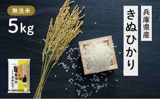 兵庫県産 キヌヒカリ 無洗米 5kg [ お米 米 おいしい きぬひかり 兵庫県 小野市 ] 精米 白米 ご飯 手間いらず 白さ 輝き 絹 粘り さっぱり 甘み お弁当 