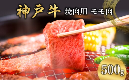 神戸牛 焼肉用 モモ肉 500g [ 肉 牛肉 焼肉 BBQ モモ もも 焼き肉 やきにく バーベキュー 神戸ビーフ ブランド牛 冷蔵 兵庫県 小野市 ]