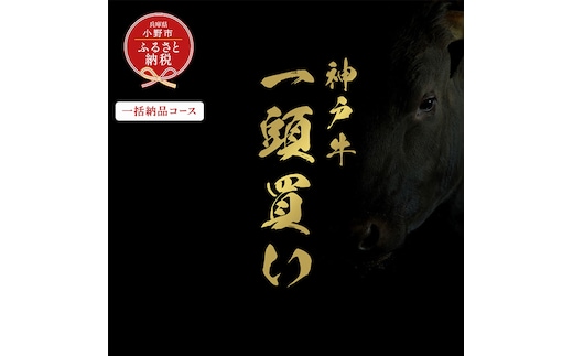 【和牛セレブ】神戸牛一頭分のセレブ体験（一括納品コース）/ 神戸ビーフ BBQ 牛肉 冷凍 ブランド牛 兵庫県 小野市