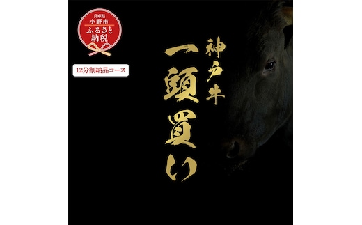 【和牛セレブ】神戸牛一頭分のセレブ体験（12分割納品コース）/ 神戸ビーフ BBQ 牛肉 冷凍 ブランド牛 兵庫県 小野市