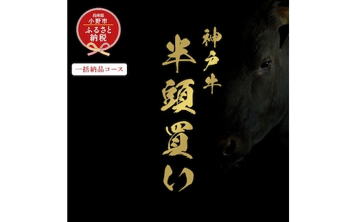 【和牛セレブ】神戸牛半頭分のセレブ体験（一括納品コース）/ 神戸ビーフ BBQ 牛肉 冷凍 ブランド牛 兵庫県 小野市