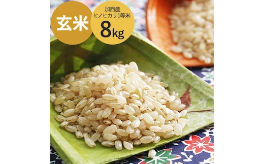 米 令和7年産 加西産 ヒノヒカリ 2等米 玄米 8kg お米 ご飯 単一原料米