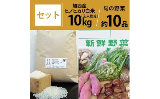 米 野菜 セット 加西産 ヒノヒカリ 白米 10kg(5kg×2：玄米換算) 季節の野菜 10品程度 詰合せ 旬の野菜 やさい お米 精米 ご飯 白飯 単一原料j米