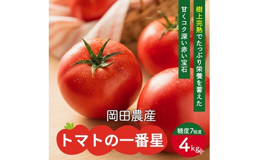 トマト 4kg トマトの一番星 野菜 とまと 完熟 高糖度 甘い 受賞 冷蔵配送