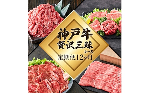 神戸牛 定期便 12ヶ月連続お届け 贅沢三昧 すき焼き肉 焼肉 ロースステーキ 焼肉食べ比べ 切り落とし スジ肉 年内配送 within2025