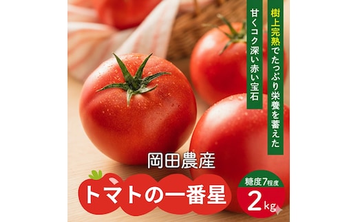 トマト 2kg トマトの一番星 野菜 とまと 完熟 高糖度 甘い 受賞 冷蔵配送