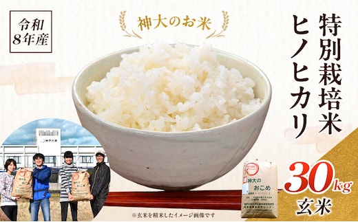 米 令和8年産 神大のおこめ（特別栽培米ヒノヒカリ）玄米30kg お米