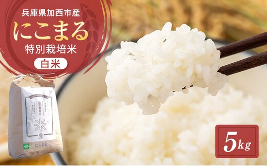 令和7年産 特別栽培米 にこまる 白米 5kg 精米 お米 こめ コメ ごはん ご飯 単一原料米