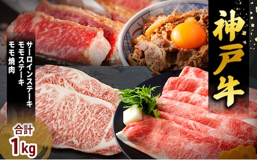 期間限定寄附額 神戸牛 福袋 帝神 おまかせコース C サーロインステーキ ももステーキ カルビスライス