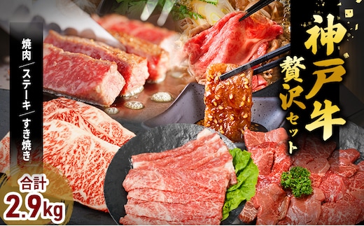 期間限定寄附額 神戸牛 福袋 帝神 おまかせコース F サーロインステーキ 肩スライス 牛カルビ ももステーキ もも焼肉 バラ肉 すじ肉