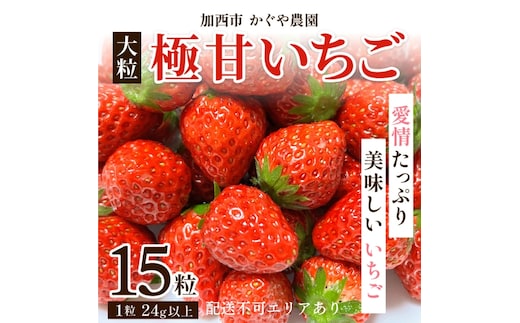 【令和8年産】 かぐや農園の極甘 いちご 大粒 15粒 果物 フルーツ 果実 高設栽培方式 紅ほっぺ かおり野 ロマンベリー お楽しみ 