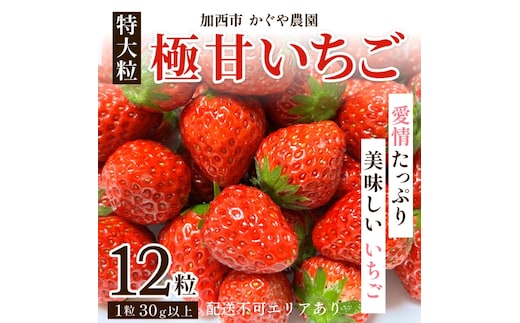 dショッピングふるさと納税百選 | 『いちご』で絞り込んだ通販できる返