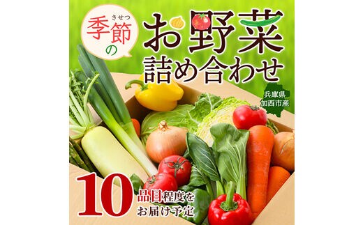 野菜セット 加西市産 季節の野菜詰め合わせセット 季節の野菜10品程度