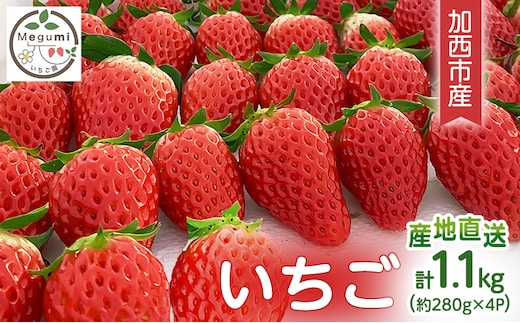 いちご 4パック 兵庫県 加西市 果物類 苺 イチゴ 果物詰合せ フルーツ 