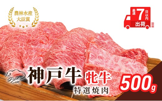 【最短7日以内発送】 神戸ビーフ 神戸牛 牝 特選焼肉 500g 川岸畜産 冷凍 肉 牛肉 すぐ届く お肉 和牛 食材 グルメ ブランド牛 日本産 国産 夕飯 晩御飯 夜ごはん 