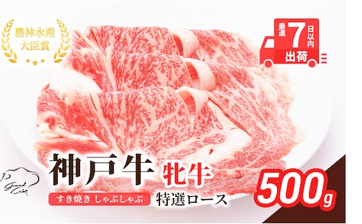 【最短7日以内発送】 神戸ビーフ 神戸牛 牝 特選ロース 500g 川岸畜産 すき焼き しゃぶしゃぶ 焼肉 冷凍 肉 牛肉 すぐ届く お肉 和牛 食材 グルメ ブランド牛 日本産 国産 夕飯 晩御飯 夜ごはん 
