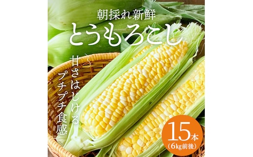 朝どり とうもろこし 15本（6kg前後）よしよし畑 農家直送 