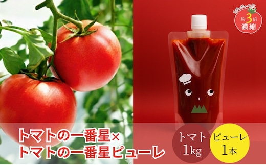 トマト 1kg+トマトの一番星ピューレ 380g×1本セット 兵庫県産 野菜 とまと 完熟 高糖度 濃厚 甘い 賞 受賞 糖度 夏野菜 あまい お取り寄せ 冷蔵配送