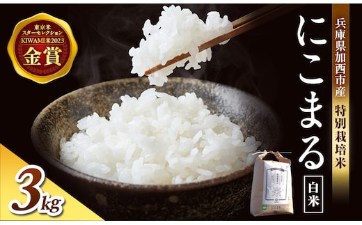 令和8年産 新米 特別栽培米 にこまる 白米 3kg 精米 お米 こめ コメ ごはん ご飯 単一原料米
